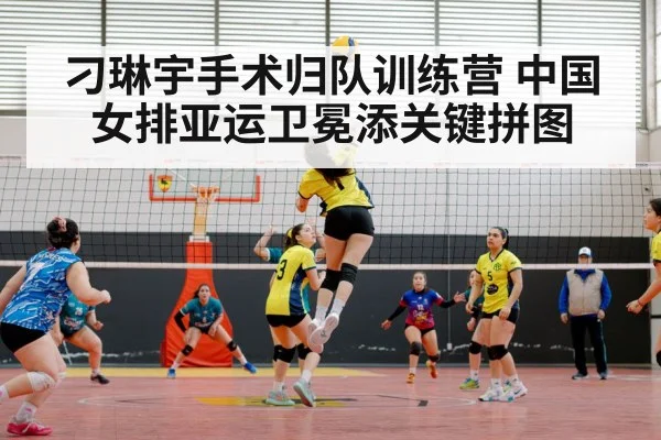 chinese women volleyball team